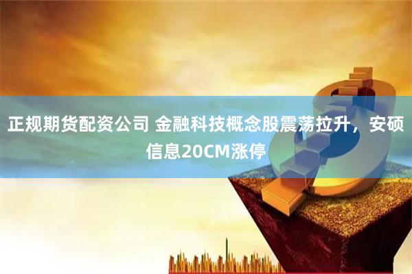 正规期货配资公司 金融科技概念股震荡拉升，安硕信息20CM涨停