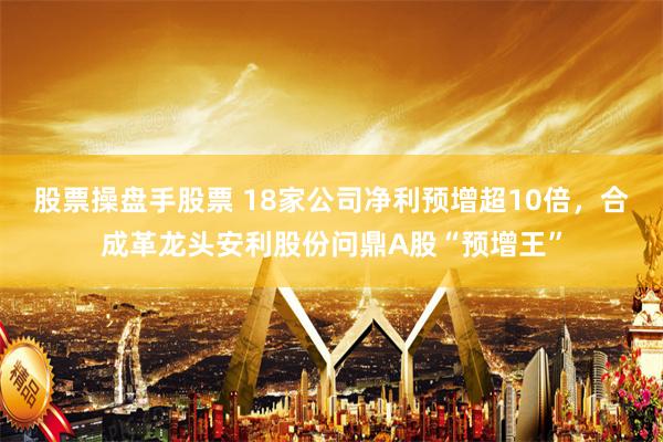 股票操盘手股票 18家公司净利预增超10倍，合成革龙头安利股份问鼎A股“预增王”