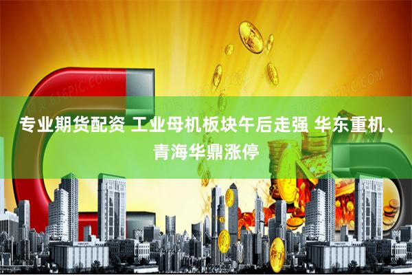 专业期货配资 工业母机板块午后走强 华东重机、青海华鼎涨停