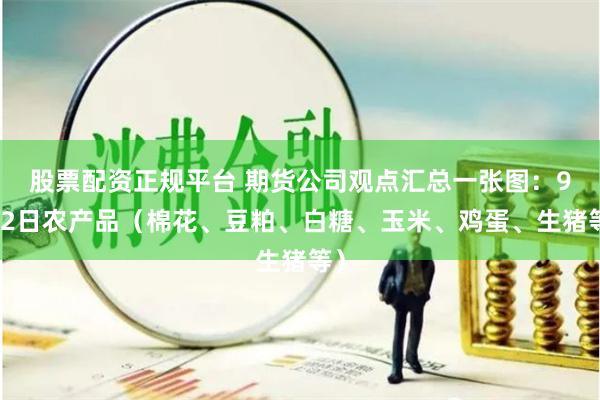股票配资正规平台 期货公司观点汇总一张图：9月2日农产品（棉花、豆粕、白糖、玉米、鸡蛋、生猪等）