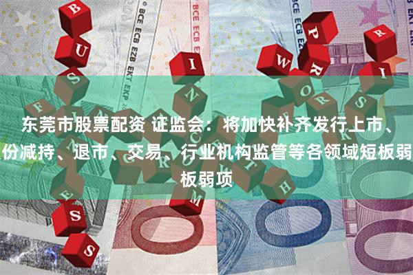 东莞市股票配资 证监会：将加快补齐发行上市、股份减持、退市、交易、行业机构监管等各领域短板弱项