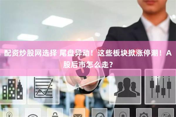 配资炒股网选择 尾盘异动！这些板块掀涨停潮！A股后市怎么走？