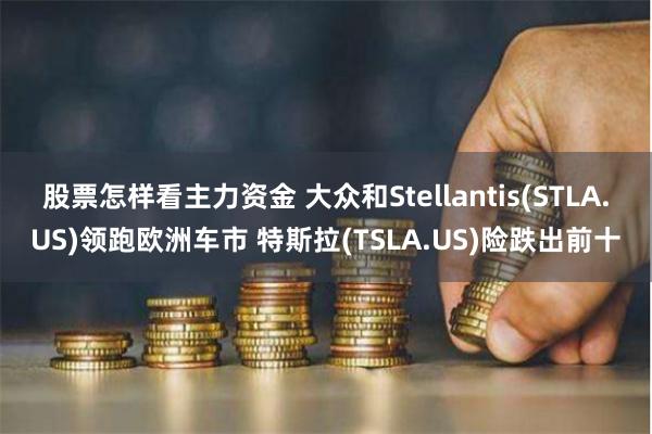 股票怎样看主力资金 大众和Stellantis(STLA.US)领跑欧洲车市 特斯拉(TSLA.US)险跌出前十