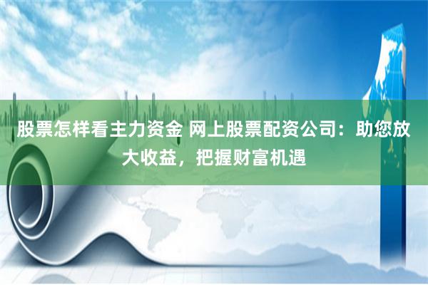 股票怎样看主力资金 网上股票配资公司：助您放大收益，把握财富机遇